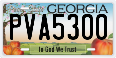GA license plate PVA5300