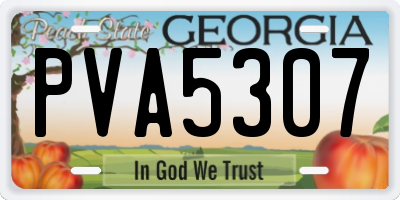 GA license plate PVA5307
