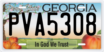 GA license plate PVA5308