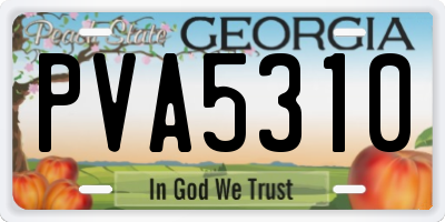 GA license plate PVA5310