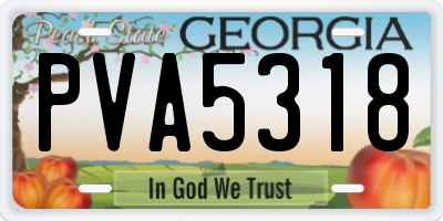 GA license plate PVA5318