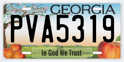 GA license plate PVA5319
