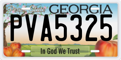 GA license plate PVA5325