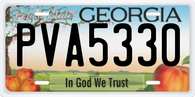 GA license plate PVA5330