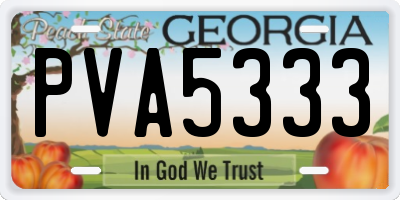GA license plate PVA5333