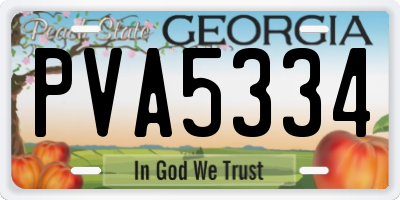 GA license plate PVA5334