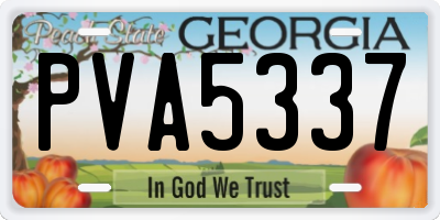 GA license plate PVA5337