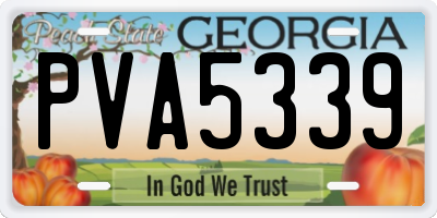 GA license plate PVA5339
