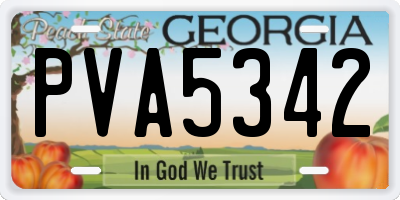 GA license plate PVA5342