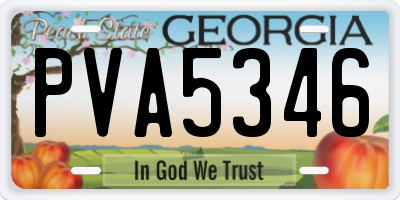 GA license plate PVA5346