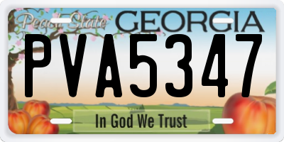 GA license plate PVA5347