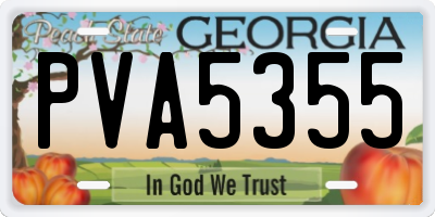GA license plate PVA5355