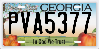 GA license plate PVA5377