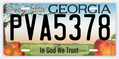 GA license plate PVA5378