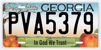 GA license plate PVA5379