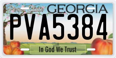 GA license plate PVA5384