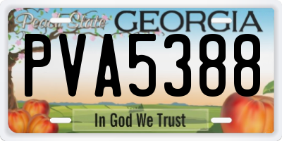 GA license plate PVA5388