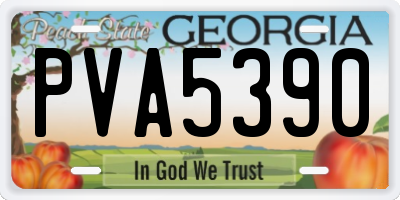 GA license plate PVA5390