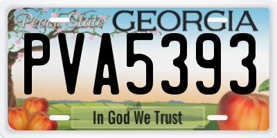 GA license plate PVA5393