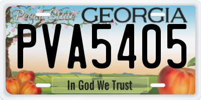 GA license plate PVA5405