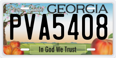 GA license plate PVA5408