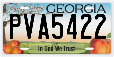 GA license plate PVA5422