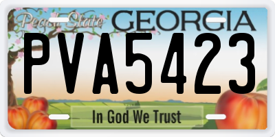 GA license plate PVA5423