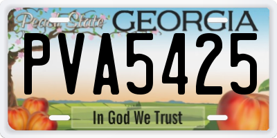 GA license plate PVA5425