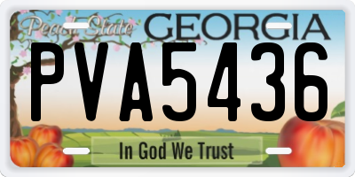GA license plate PVA5436
