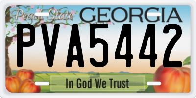 GA license plate PVA5442