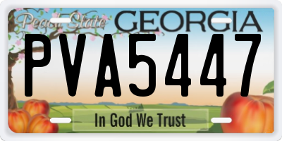 GA license plate PVA5447