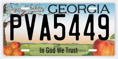 GA license plate PVA5449