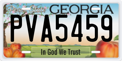GA license plate PVA5459