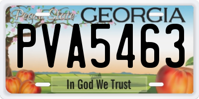 GA license plate PVA5463