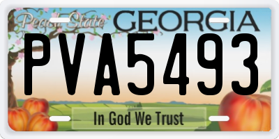 GA license plate PVA5493