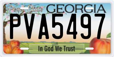 GA license plate PVA5497