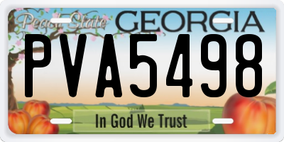 GA license plate PVA5498