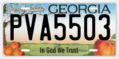 GA license plate PVA5503