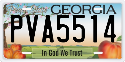 GA license plate PVA5514