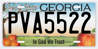 GA license plate PVA5522