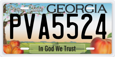 GA license plate PVA5524