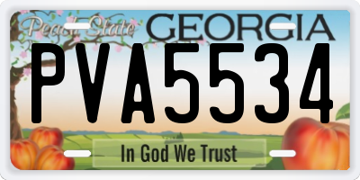 GA license plate PVA5534