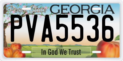GA license plate PVA5536