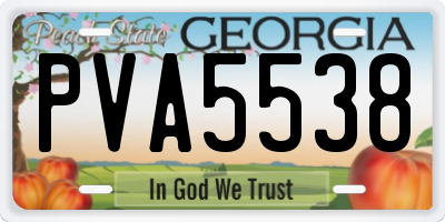 GA license plate PVA5538