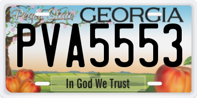 GA license plate PVA5553