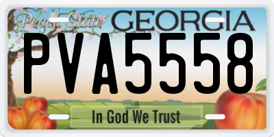 GA license plate PVA5558