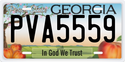 GA license plate PVA5559
