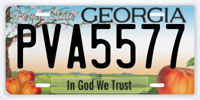 GA license plate PVA5577