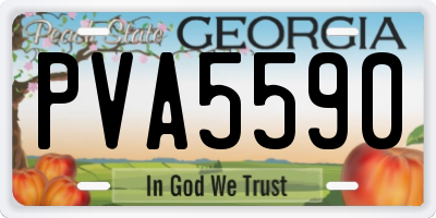 GA license plate PVA5590
