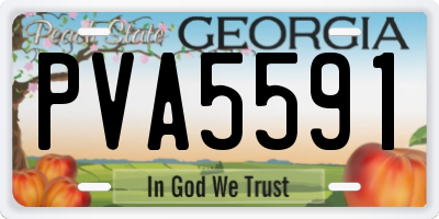 GA license plate PVA5591